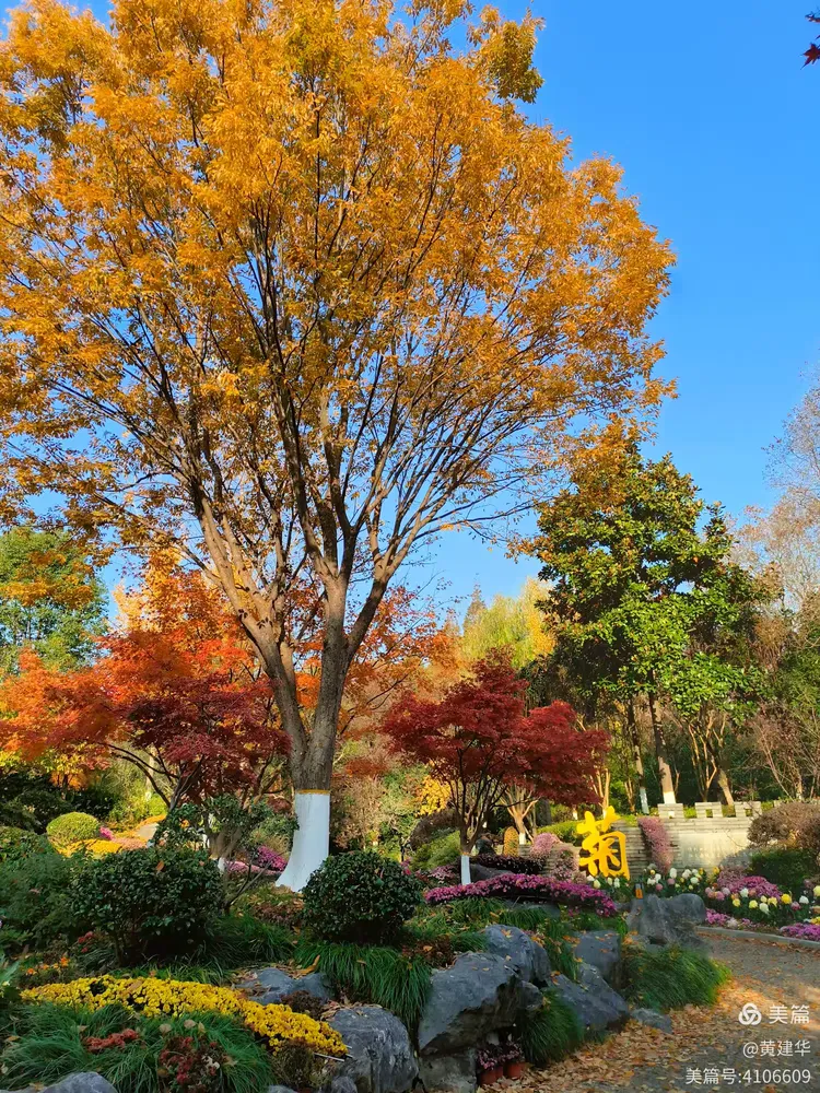 唐闸公园秋色美